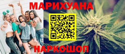 сатива Шахты