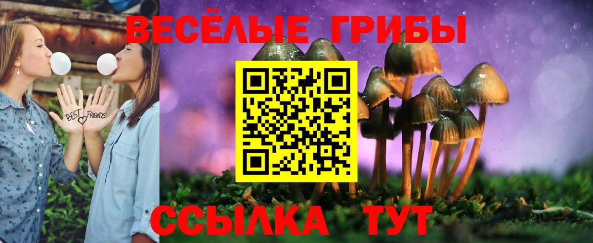 Лянтор  Галлюциногенные грибы MAGIC MUSHROOMS  Вход с VPN 